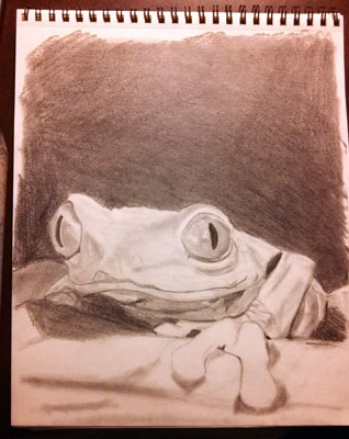 pencil and emony frog
