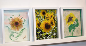 Study in Sunflowers