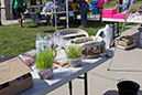 bark_park_060714_6461x